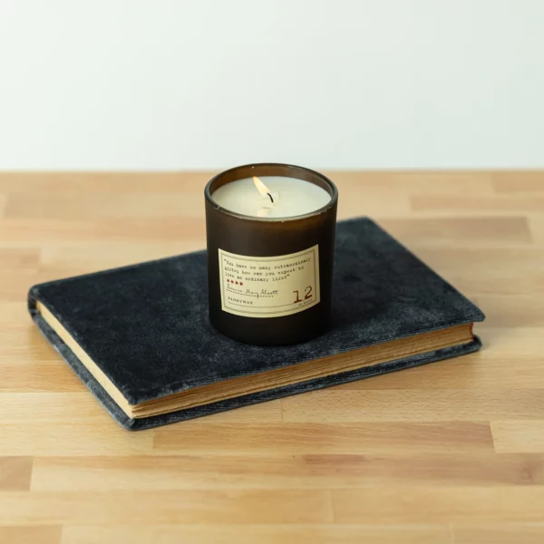 Library 6 oz Candle - Louisa May Alcott - Image 6