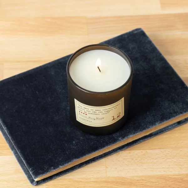 Library 6 oz Candle - Louisa May Alcott - Image 8