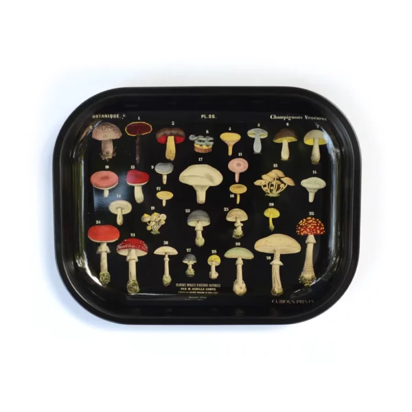 Metal Black Mushroom Tray / Vintage Fungi Print - Image 2