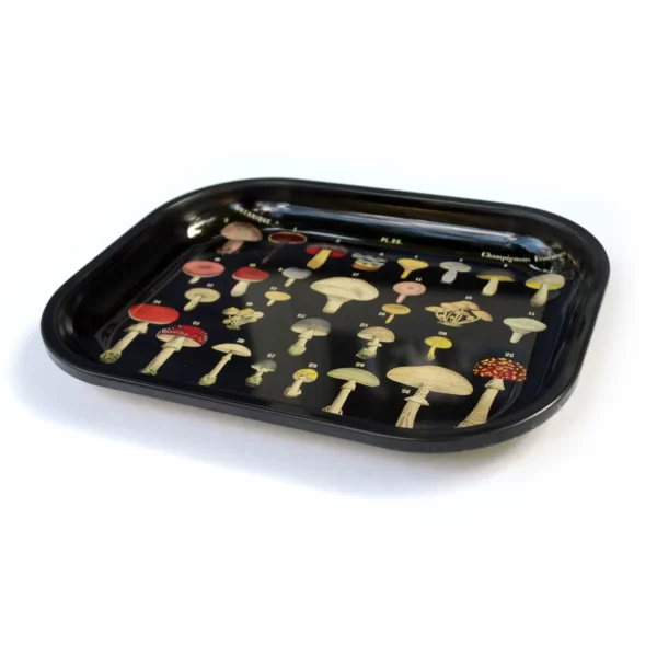 Metal Black Mushroom Tray / Vintage Fungi Print - Image 3