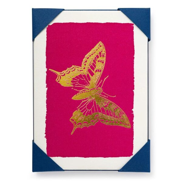 Butterfly Notelet Cards, 5 Pack