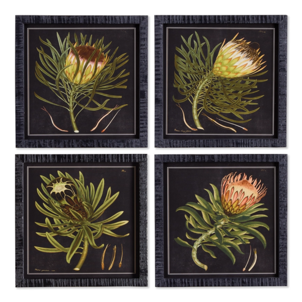 Protea Petite Prints, Set of 4