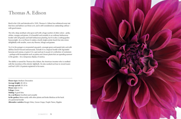 Dahlias: A Comprehensive Guide to Growing and Showcasing Breathtaking Blooms (Hardcover) by Naomi Slade - Image 4