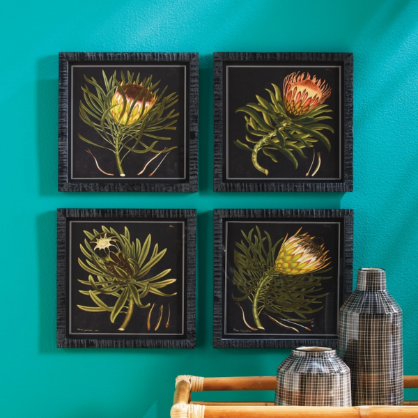 Protea Petite Prints, Set of 4 - Image 3