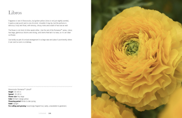 Ranunculus: The Resurgence of a Charming and Colorful Bloom (Hardcover) by Naomi Slade - Image 2