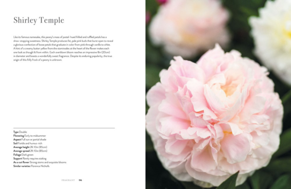 Peonies: A Gardener's Guide to Elegance and Fragrance (Hardcover) by Jane Eastoe - Image 2