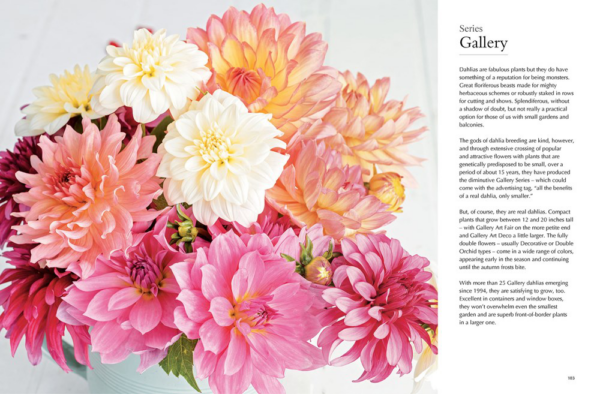 Dahlias: A Comprehensive Guide to Growing and Showcasing Breathtaking Blooms (Hardcover) by Naomi Slade - Image 3