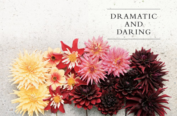 Dahlias: A Comprehensive Guide to Growing and Showcasing Breathtaking Blooms (Hardcover) by Naomi Slade - Image 2