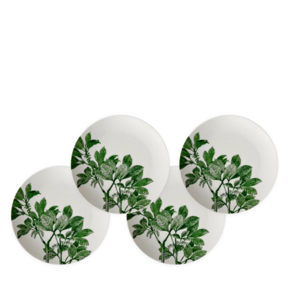 Caskata Arbor Green Small Plates (Set of 4) | Vintage Charm Meets Modern Design