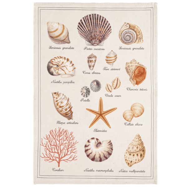 Coucke Seashells Tea Towel: Coastal Charm for Your Kitchen