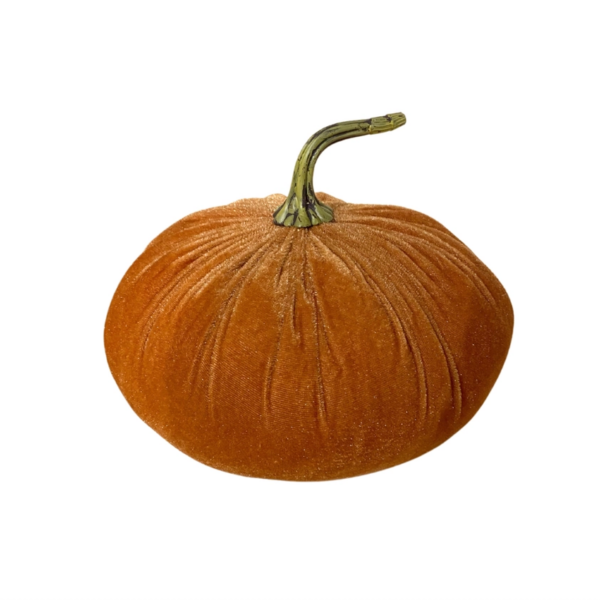 Velvet Pumpkin: A Touch of Autumn Elegance