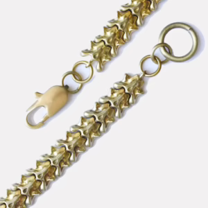 Vertebrate Chain Bracelet