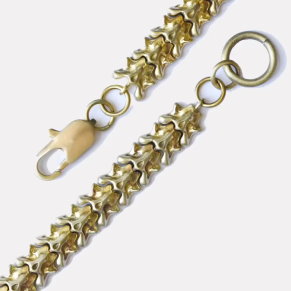 Vertebrate Chain Bracelet