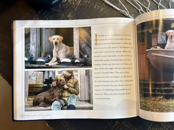 The Life of a Lab Vintage Book - Image 2